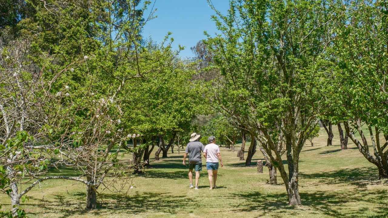 Meadowbrooke - Pearson Design