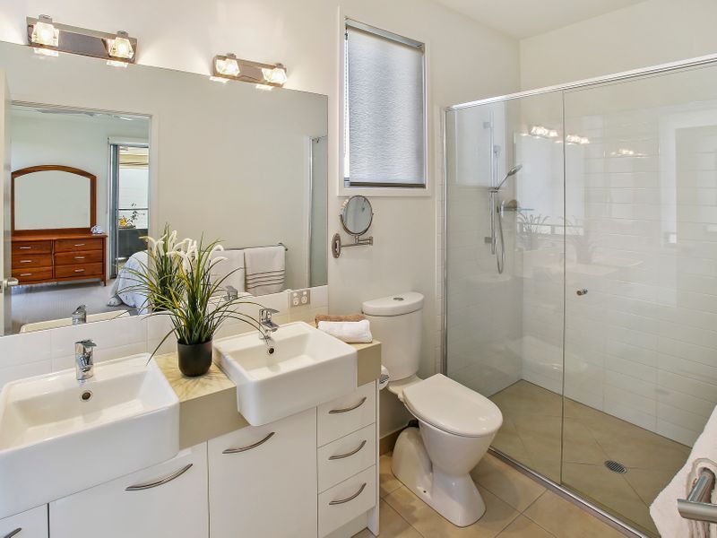 Waterfront Bird Watching