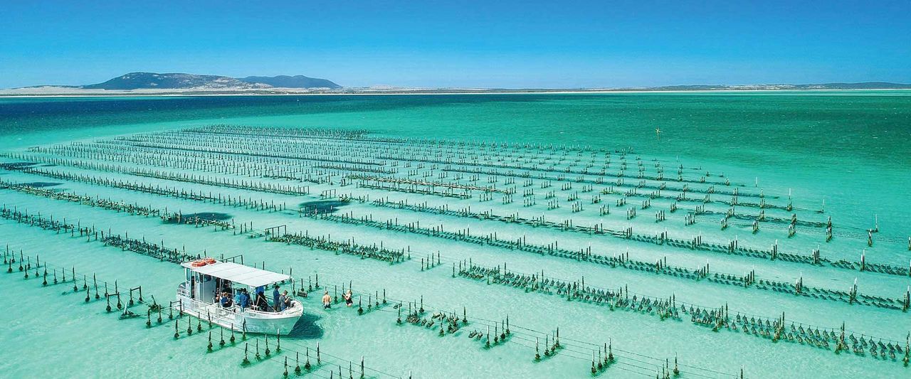Eyre Peninsula