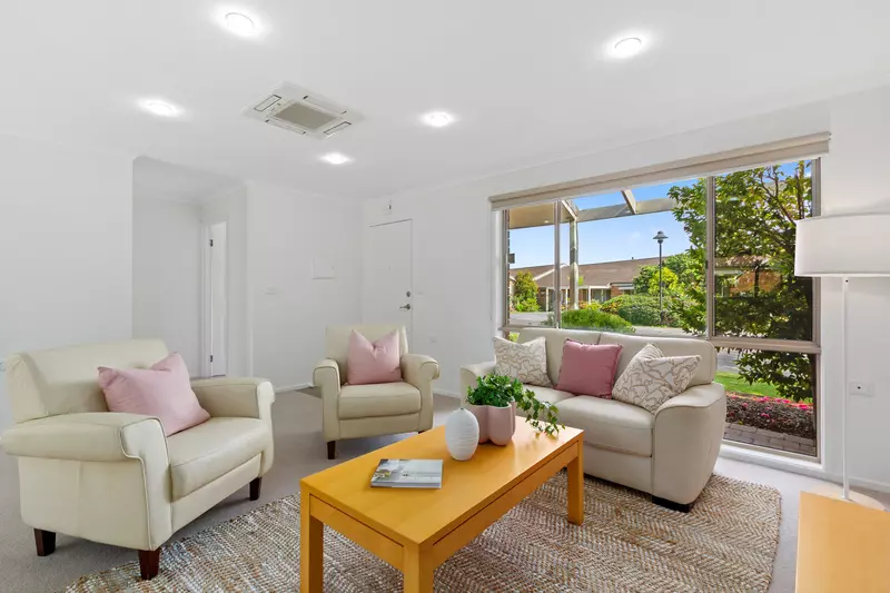 Freshly Updated, Leafy Views