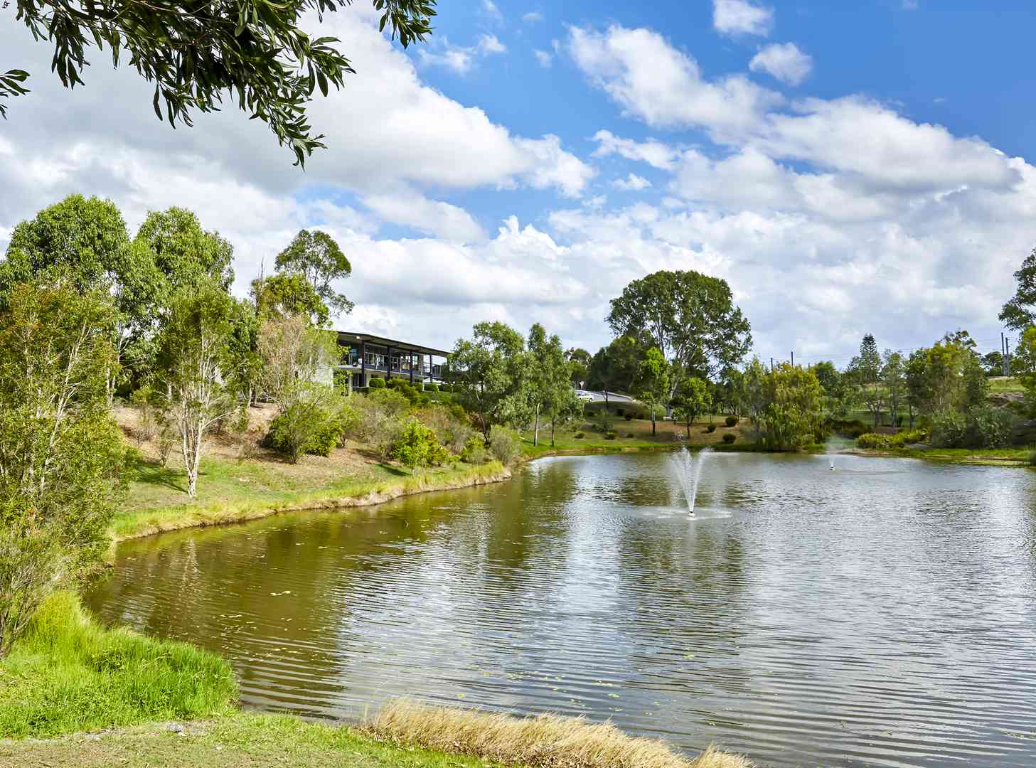 Blue Gum Design gives you size and style in retirement 