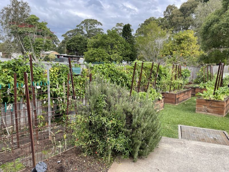 Relaxed Retirement Living in the Heart of Port Macquarie