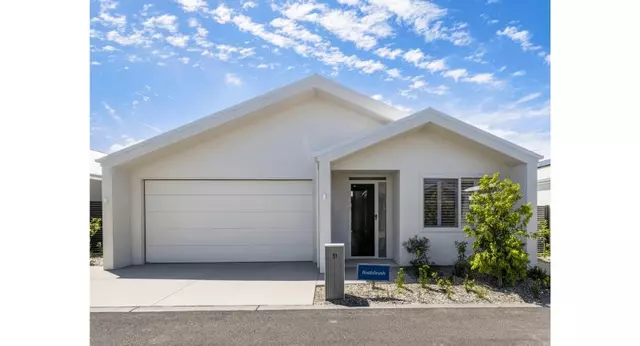 Introducing the Bottlebrush - Available to secure now