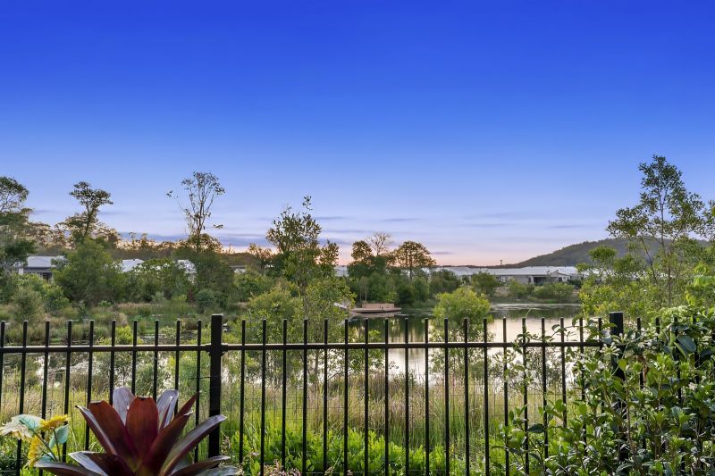 Site 261 - Established Kondalilla