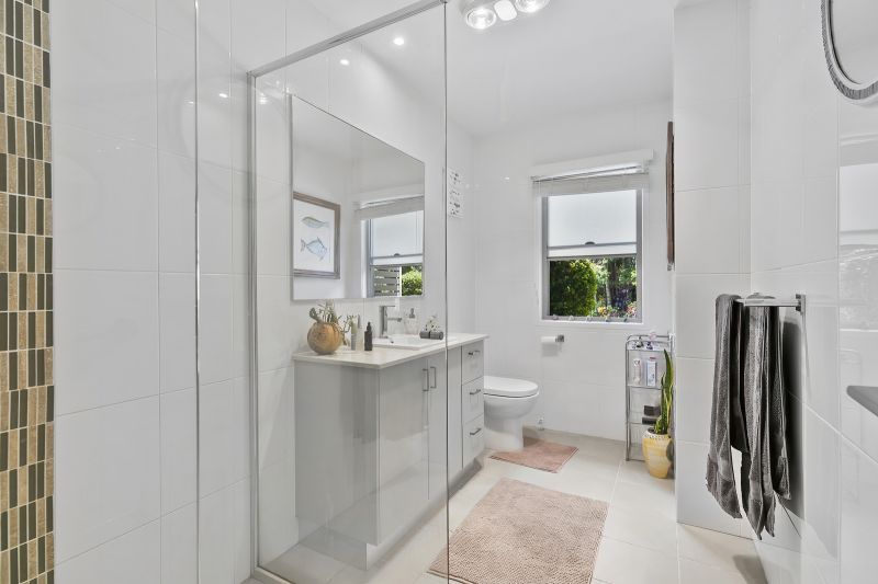 Stunning Rainforest Backdrop