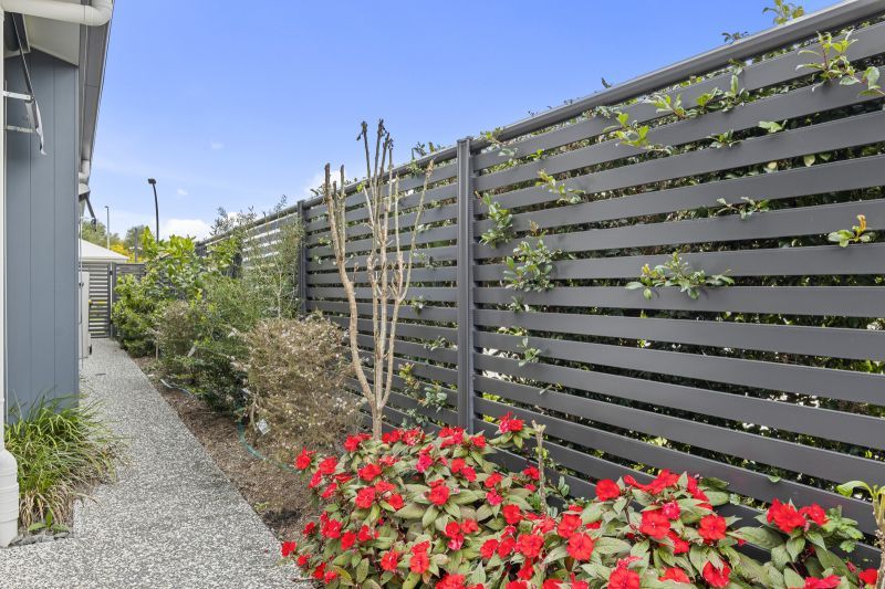 Site 128 - Established Lillydale