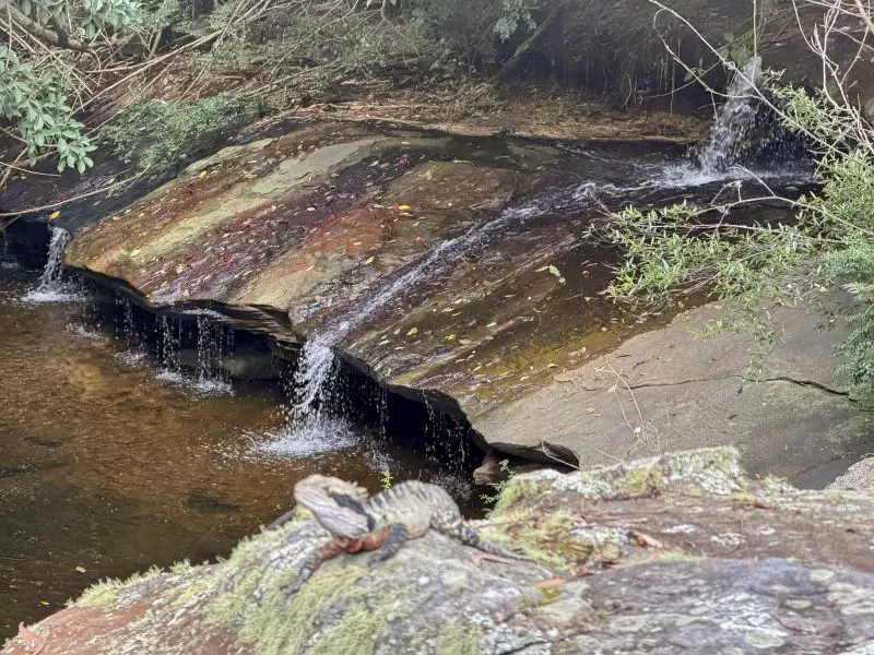 Serviced Apartment Living at Willandra - Comfort, Community & Convenience