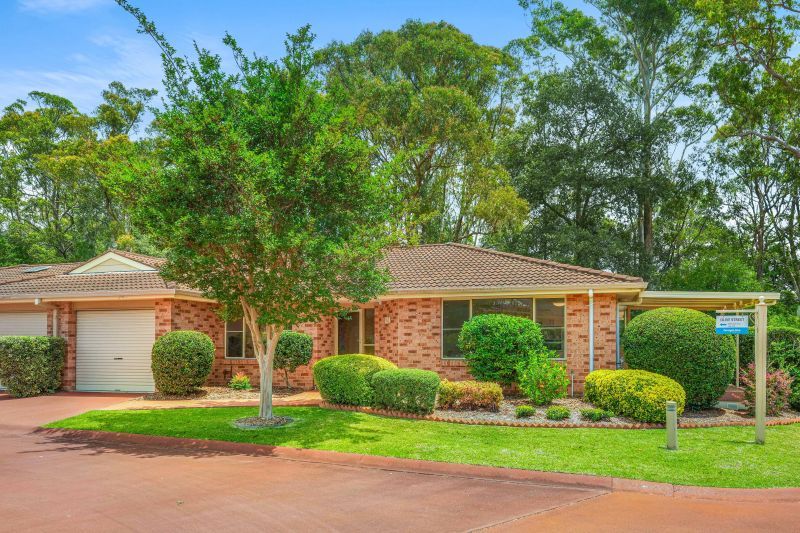 Tropical rainforest location. 