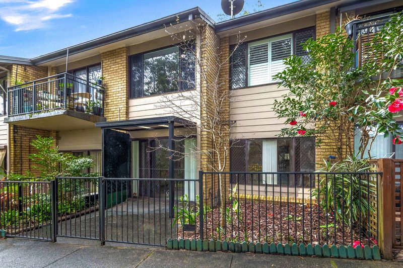 Freshly Updated Ground-Level Unit with Garden