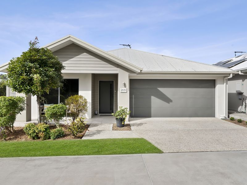 Site 205 - Established Grand Bellview