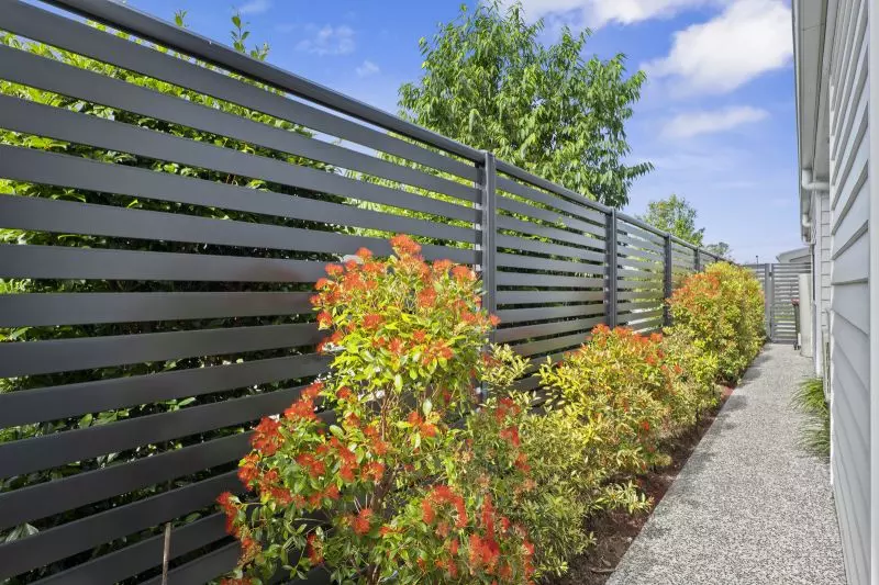 Site 135 - Established Kalbar