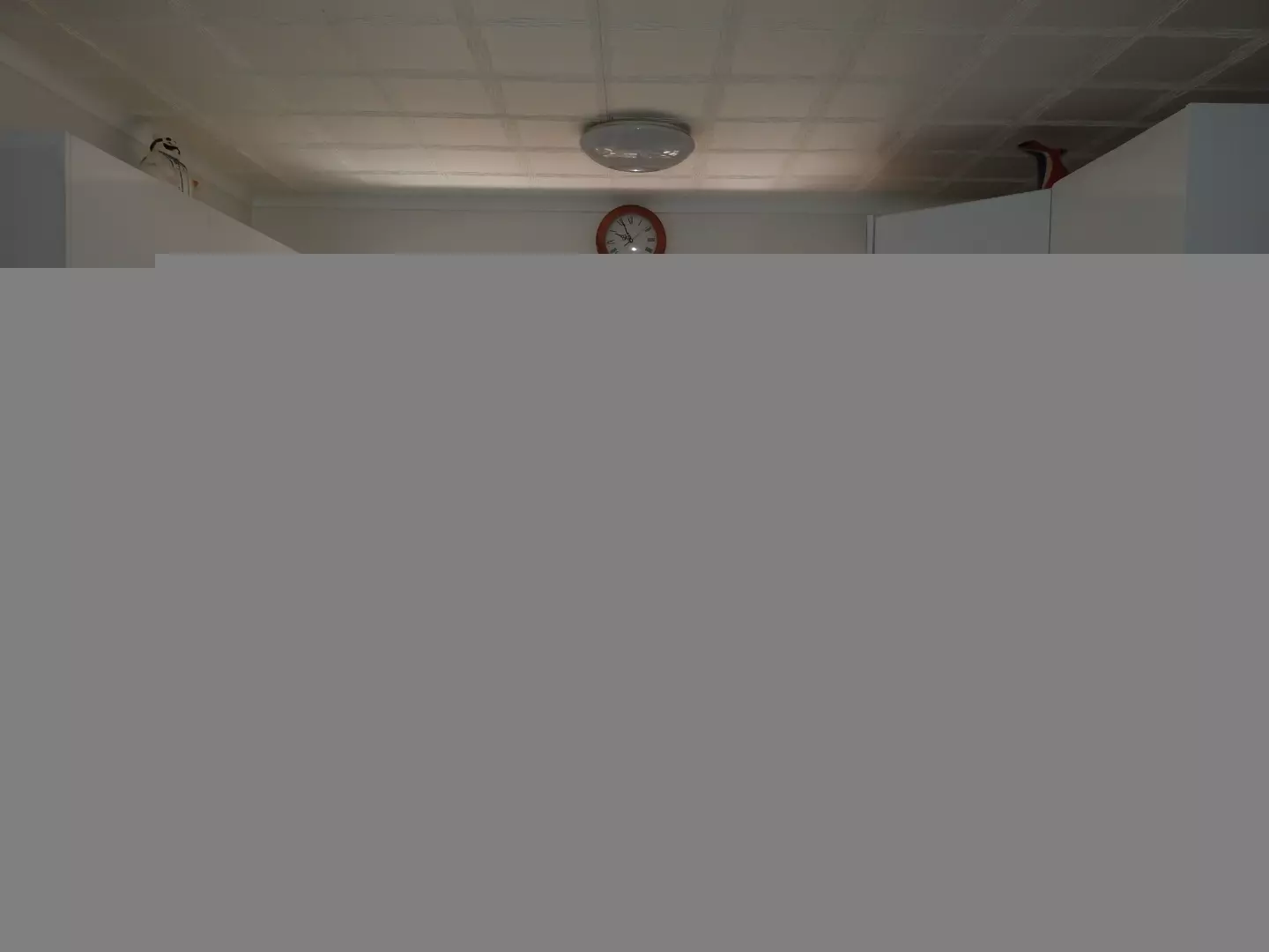 What a find in Palm Lake Resort