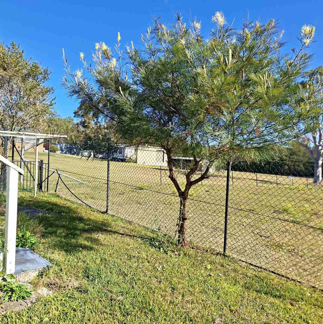 Beautifully Renovated Home