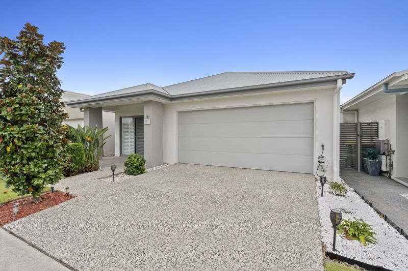 Site 91 - Established Crest Mare