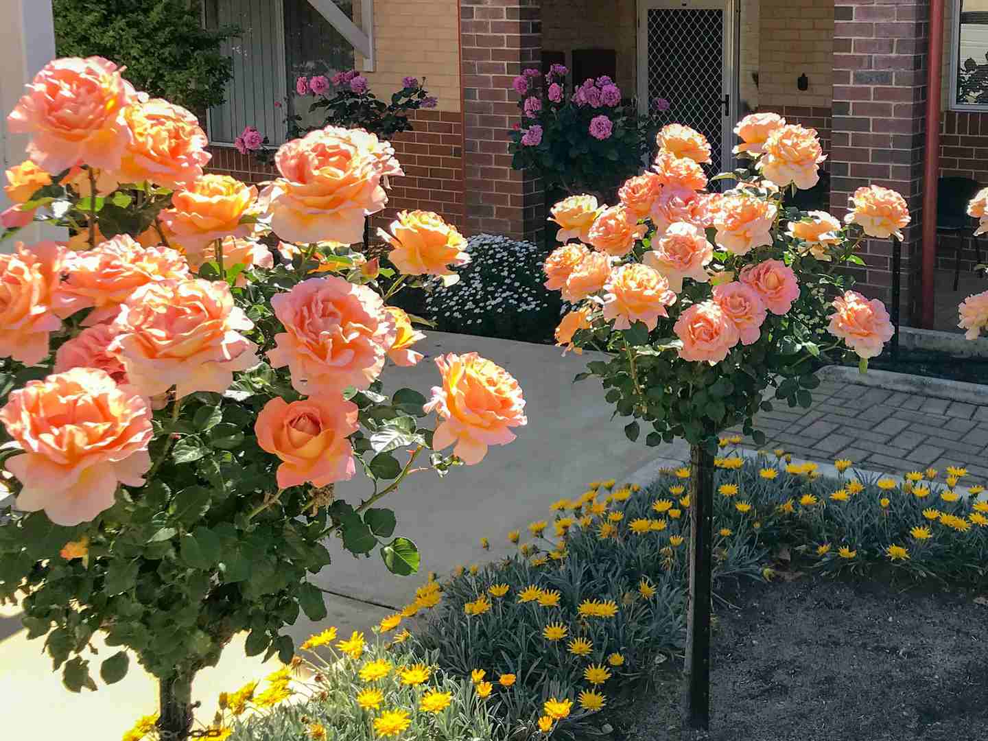 MYVISTA Balcatta Retirement Village