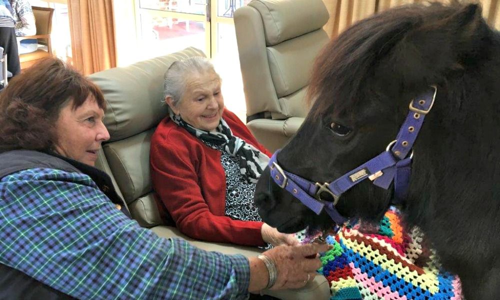 Thomas Eccles Gardens