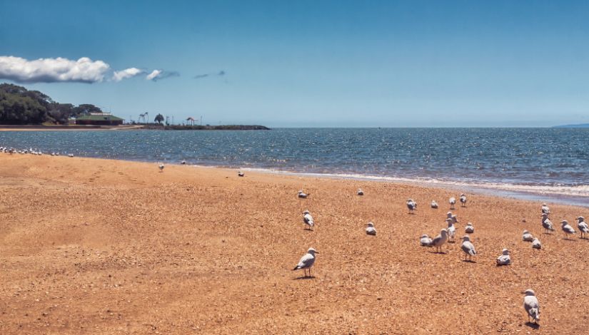 Redcliffe