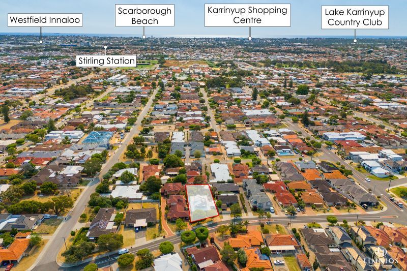 Explore your options!