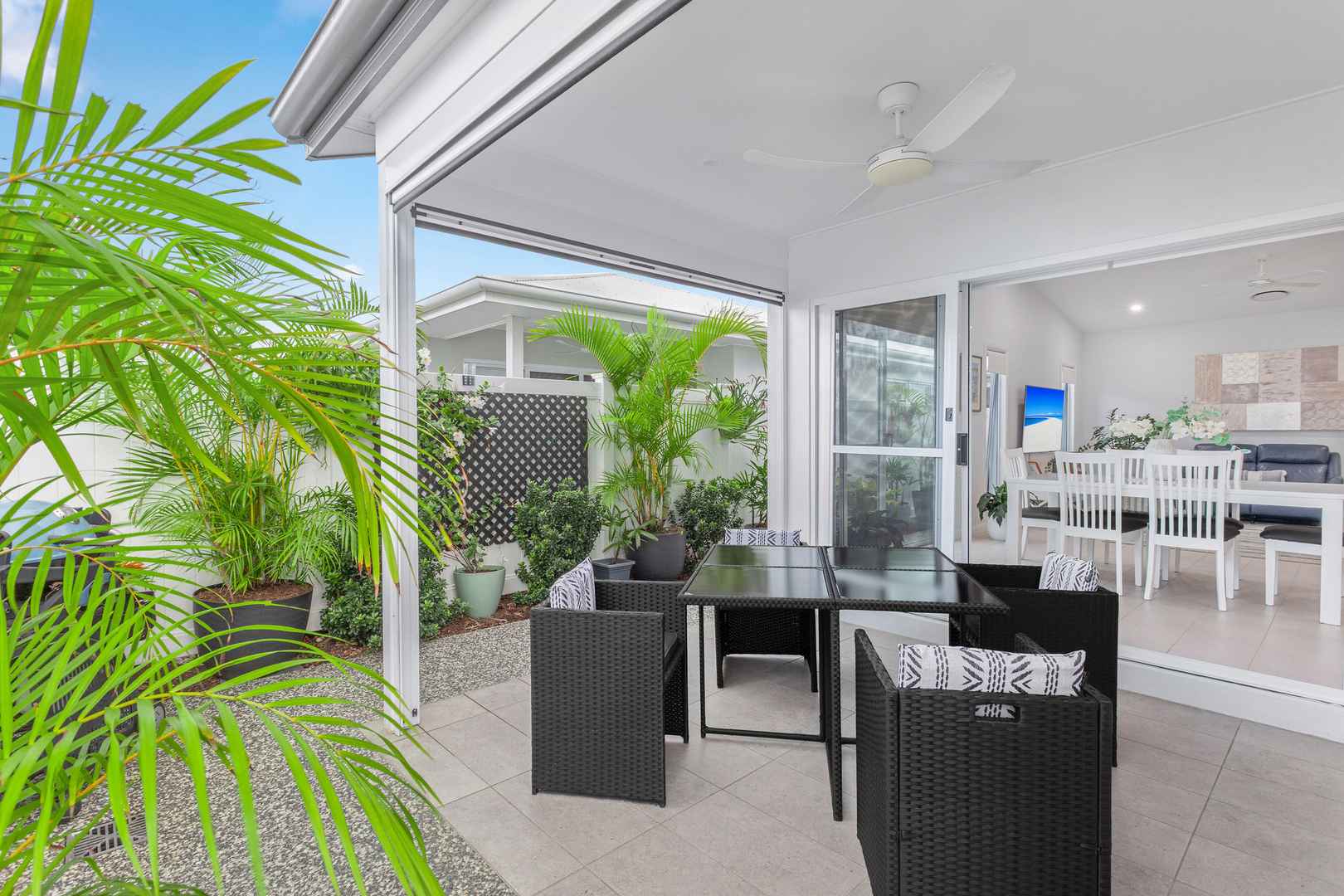 Beautifully Presented Palmetto