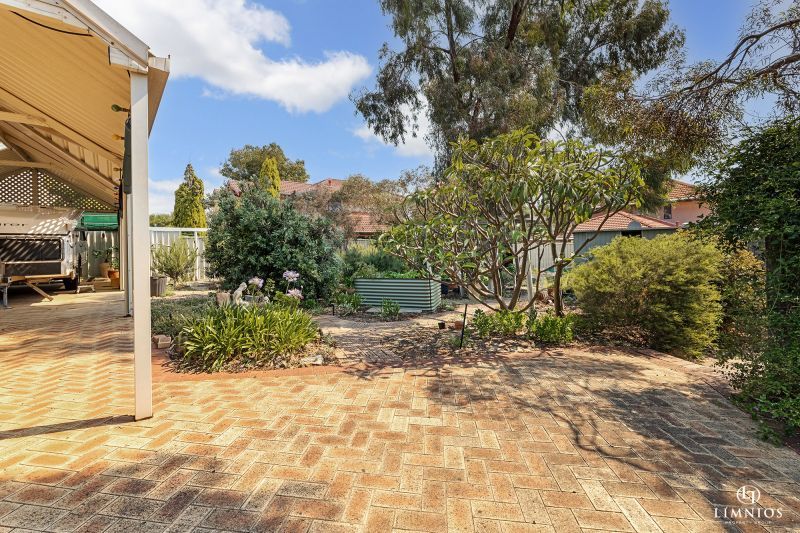 Explore your options!