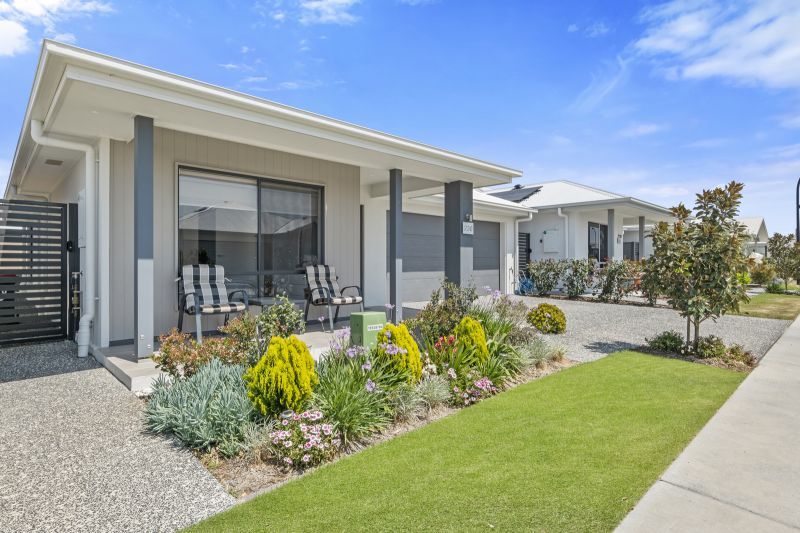 Site 230 - Established Beechmont