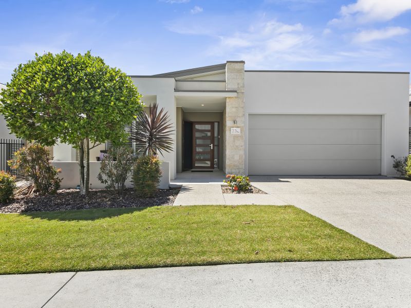 Site 230 - Established Peregrine