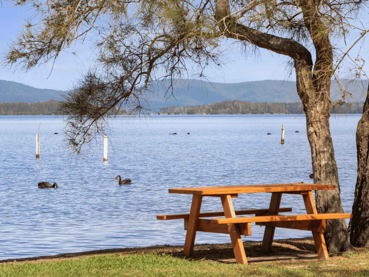 Lakeside Forster Village - The Haven