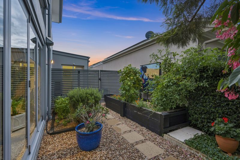 Site 166 - Established Saumarez