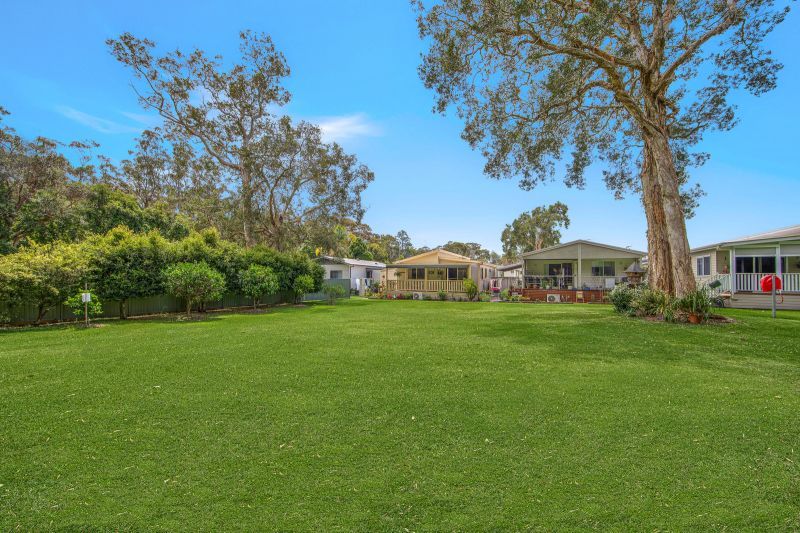 Tranquil Bush Reserve Setting – Peaceful Living in an Ideal Location