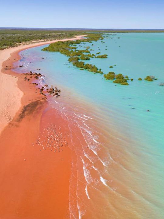 Broome