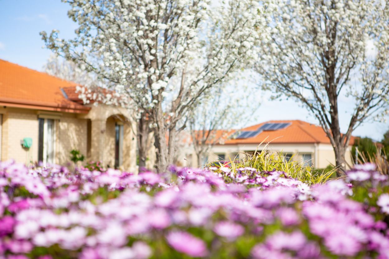 2 Bedroom Beautiful Apartments - Safe, Affordable