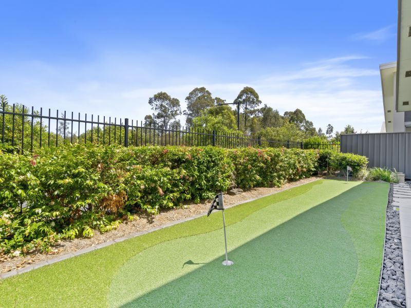 Site 8 - Established Heron