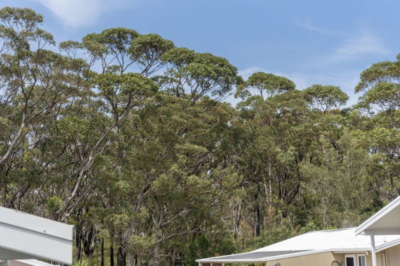 Stylish Living with Tranquil Bushland Views