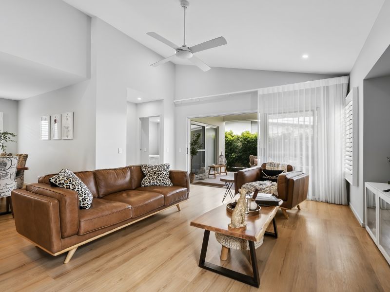 Site 299 - Established Sequoia