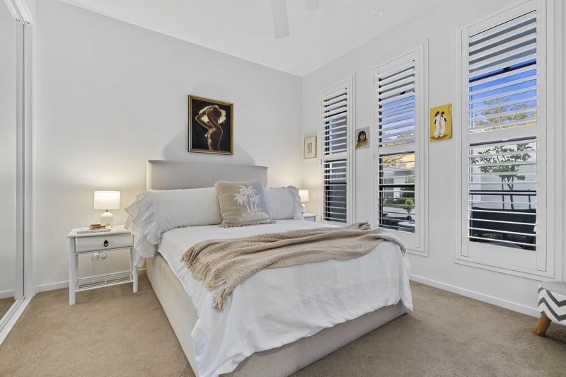 Site 261 - Established Kondalilla