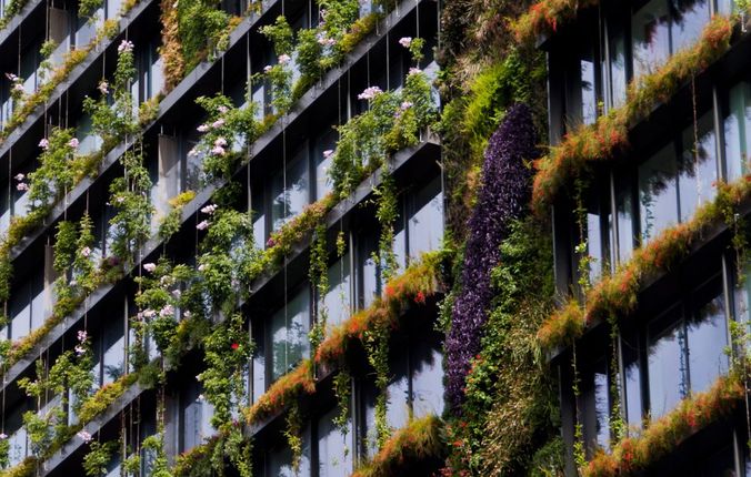 Why “Green” Features Matter