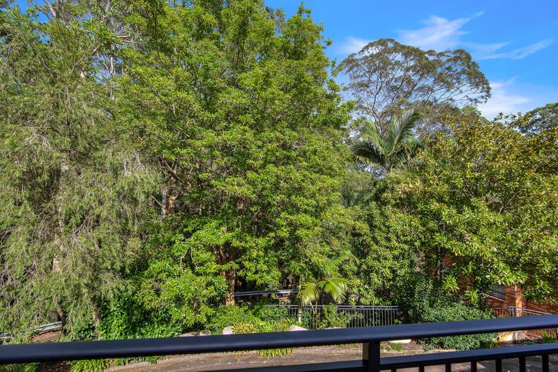 Bright, Updated Home with Idyllic Rainforest Views