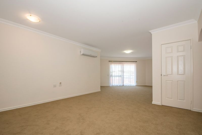 What more could you want?