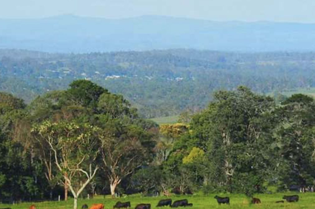 Darling Downs - Maranoa