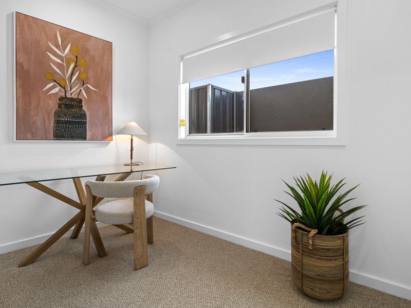 An Entertainer’s Dream