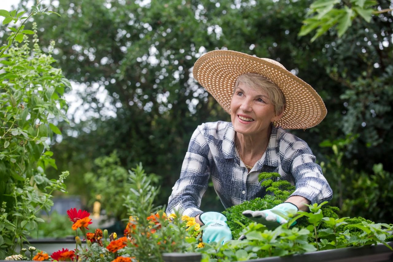 Kingsford Terrace: New Stages Now Selling