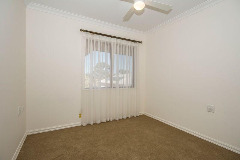 What more could you want?