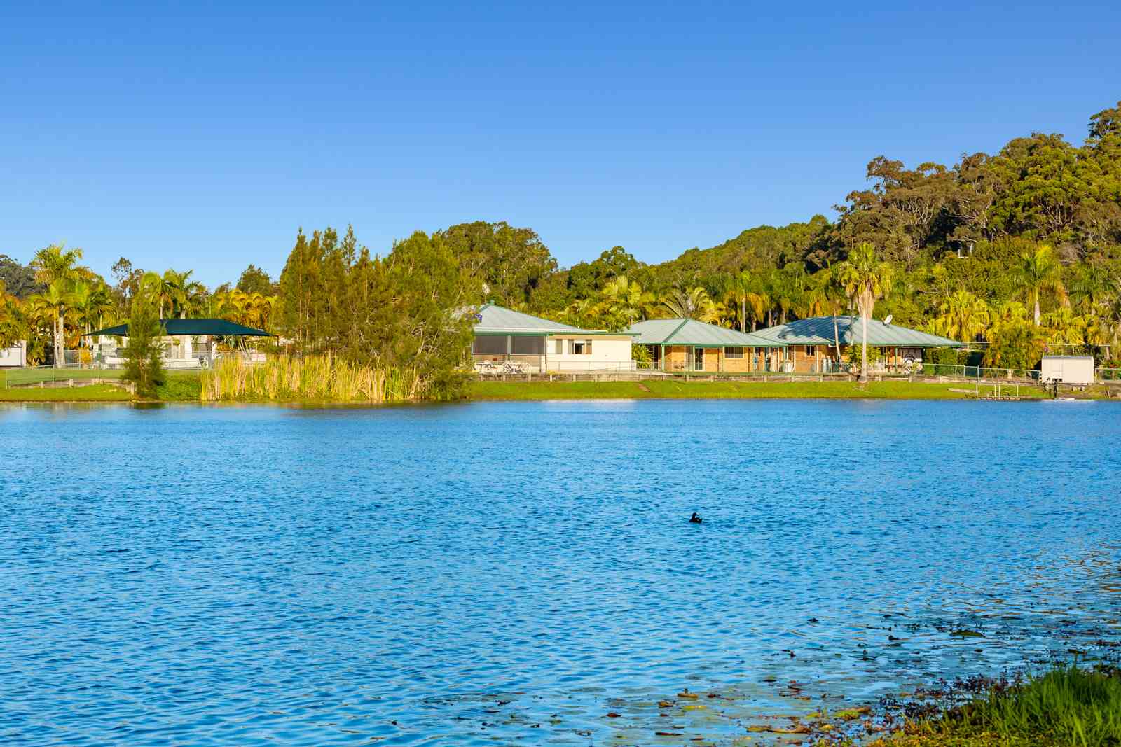 Discover Land Lease Living at Banksia Waters