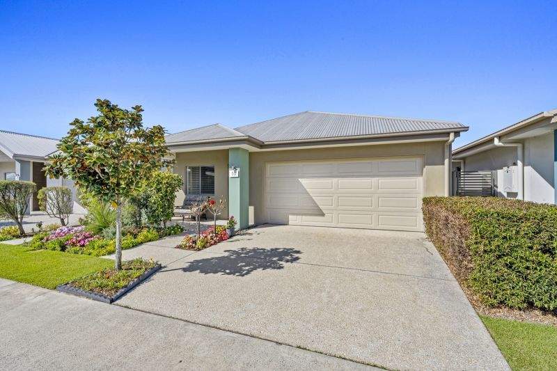 Site 55 - Established Crest Mare