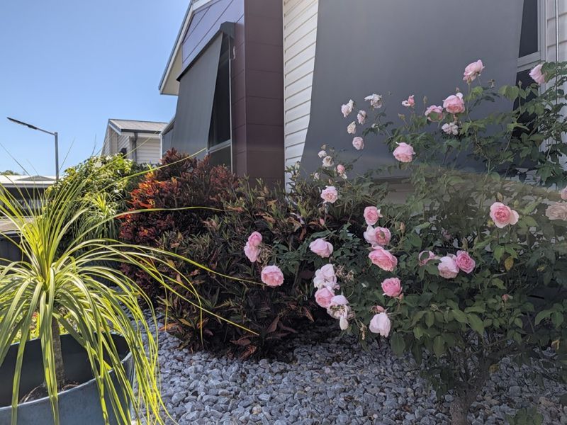 Charming 3-Bedroom Home!