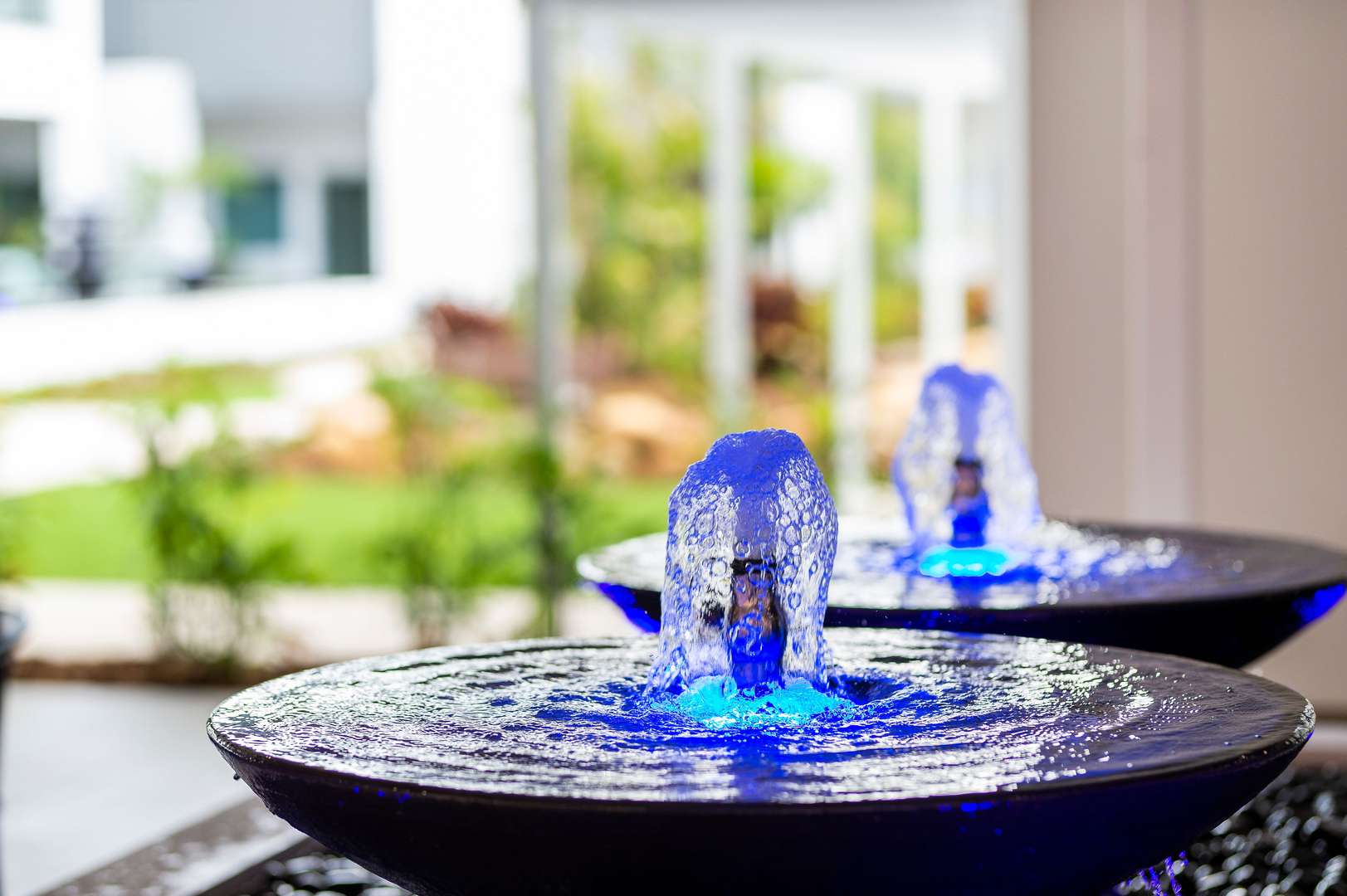 Superior Single Suite with Private Ensuite