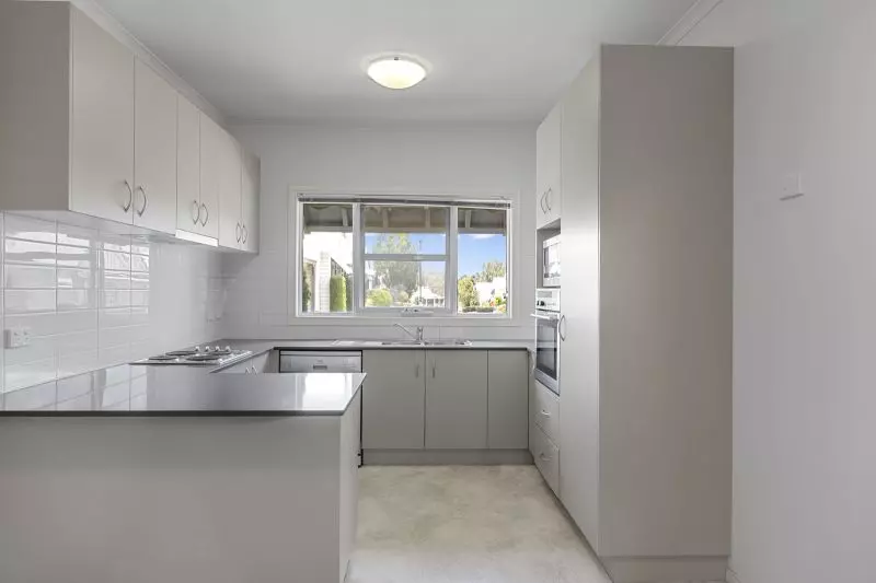 Blank Canvas – Endless Potential!