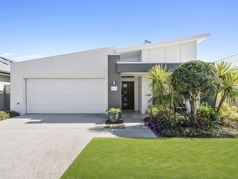 Site 63 - Established Heron