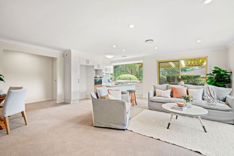 Tropical rainforest location. 