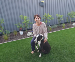 Claws and effect: Downsizers reap the rewards of pet ownership